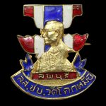 เข็มกลัดในหลวง ๑ (ทดสอบ)