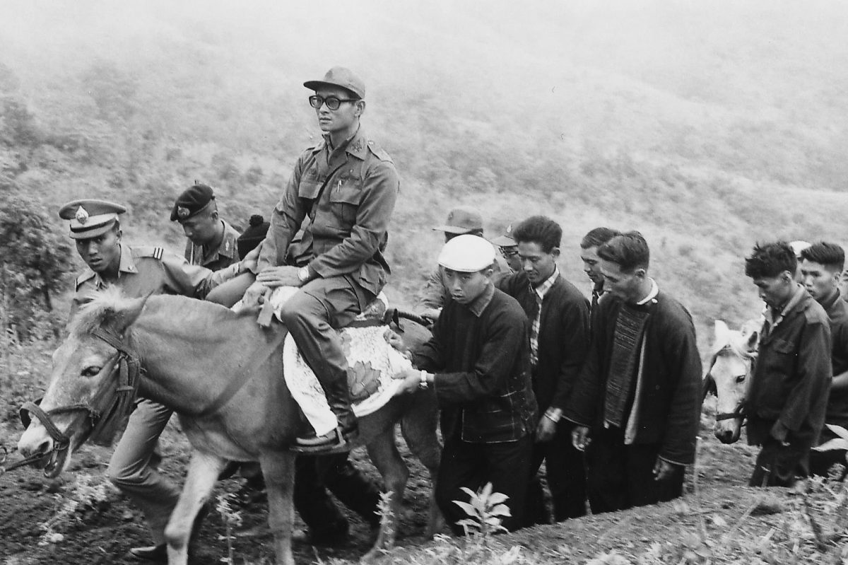 ในหลวงเสร็จผาหมี