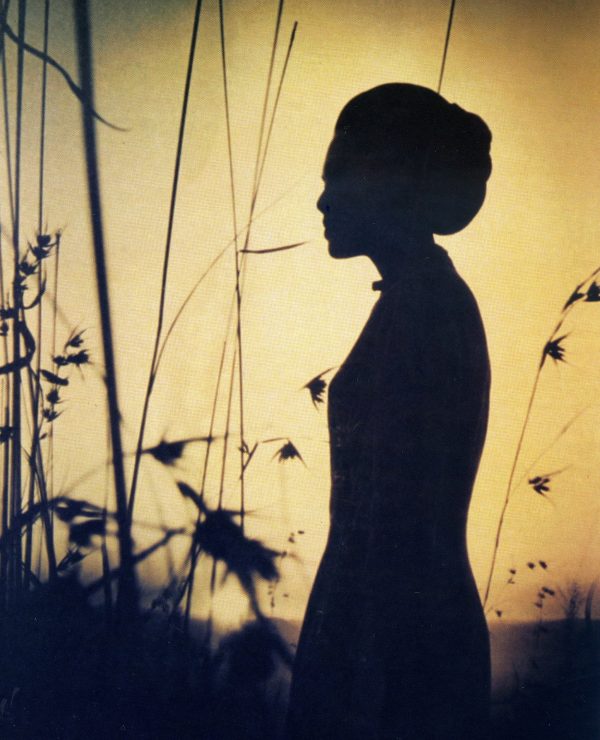 10-2046-0-aoto-1200P